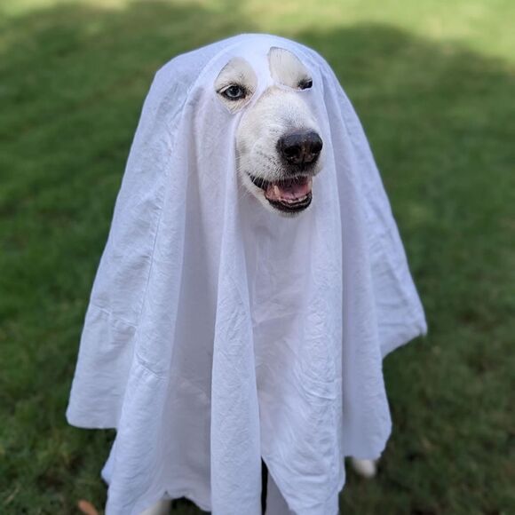 Loves sharing - Picture 9 of 16